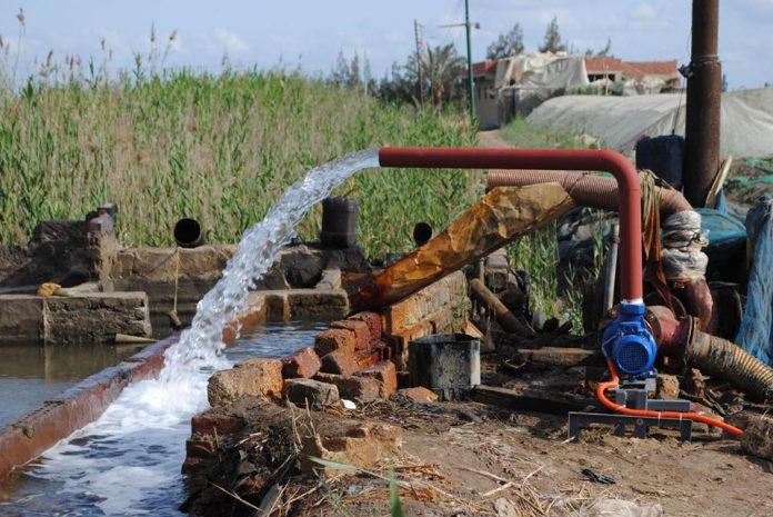 44498967_1988501694522335_4528427055192211456_o