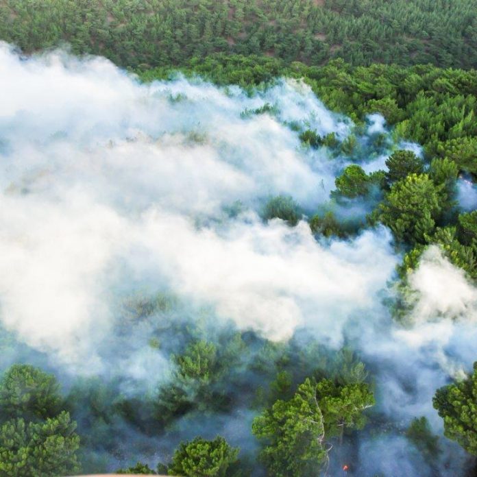 Wildfires continue to pose significant threats to urban areas near nature reserves.